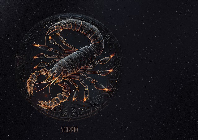 You are currently viewing Le Scorpion